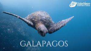 Galapagos