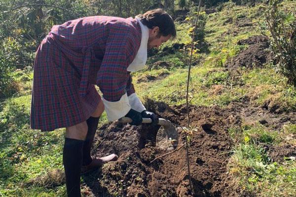 Tree-Plantation-with-Green-Bhutan-6