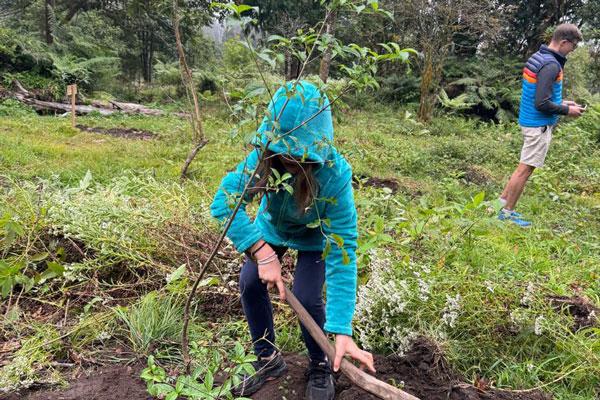 Tree-Plantation-with-Green-Bhutan-3