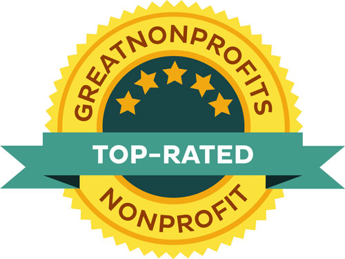 Great Non Profits