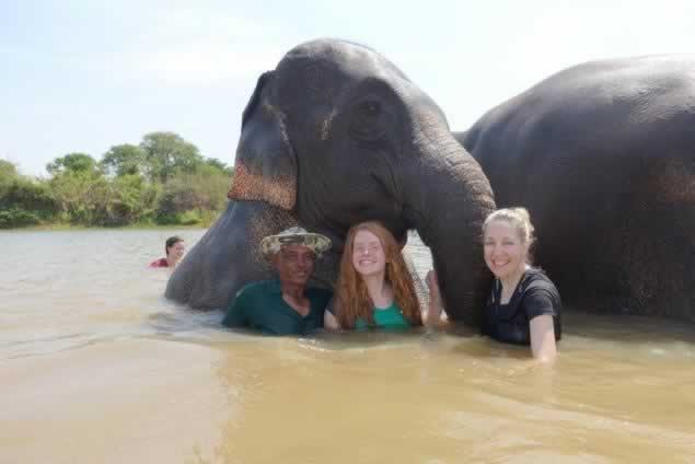 Globe Aware offered a program that helps better the lives of captive Asian elephants. With this program, unlike some others in Thailand, the elephants' welfare is front and center at all times.