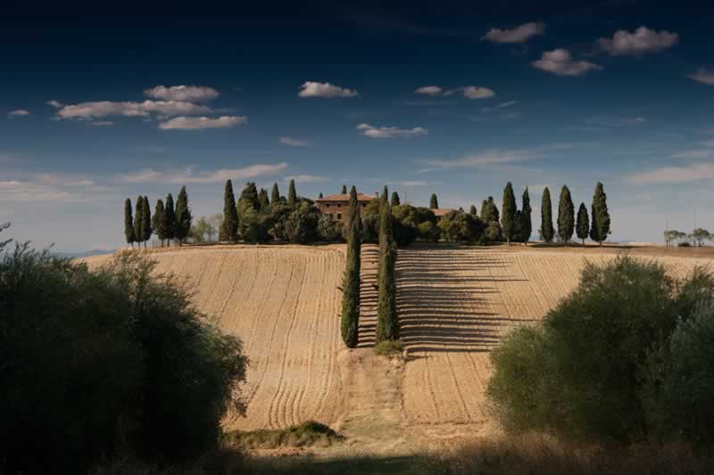 spain fields