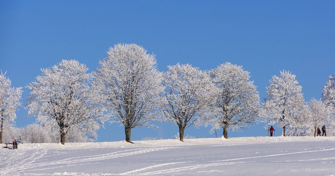 winter 8435314 1280