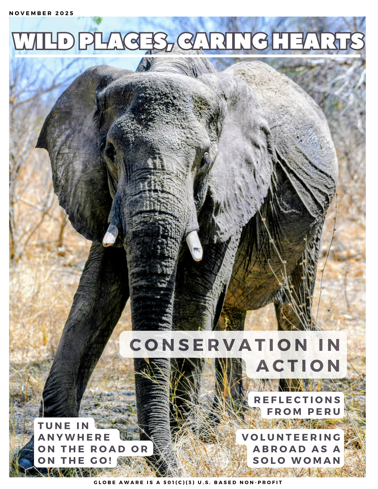 Cover%20Page Wild Places, Caring Hearts - Globe Aware - Adventures in Service