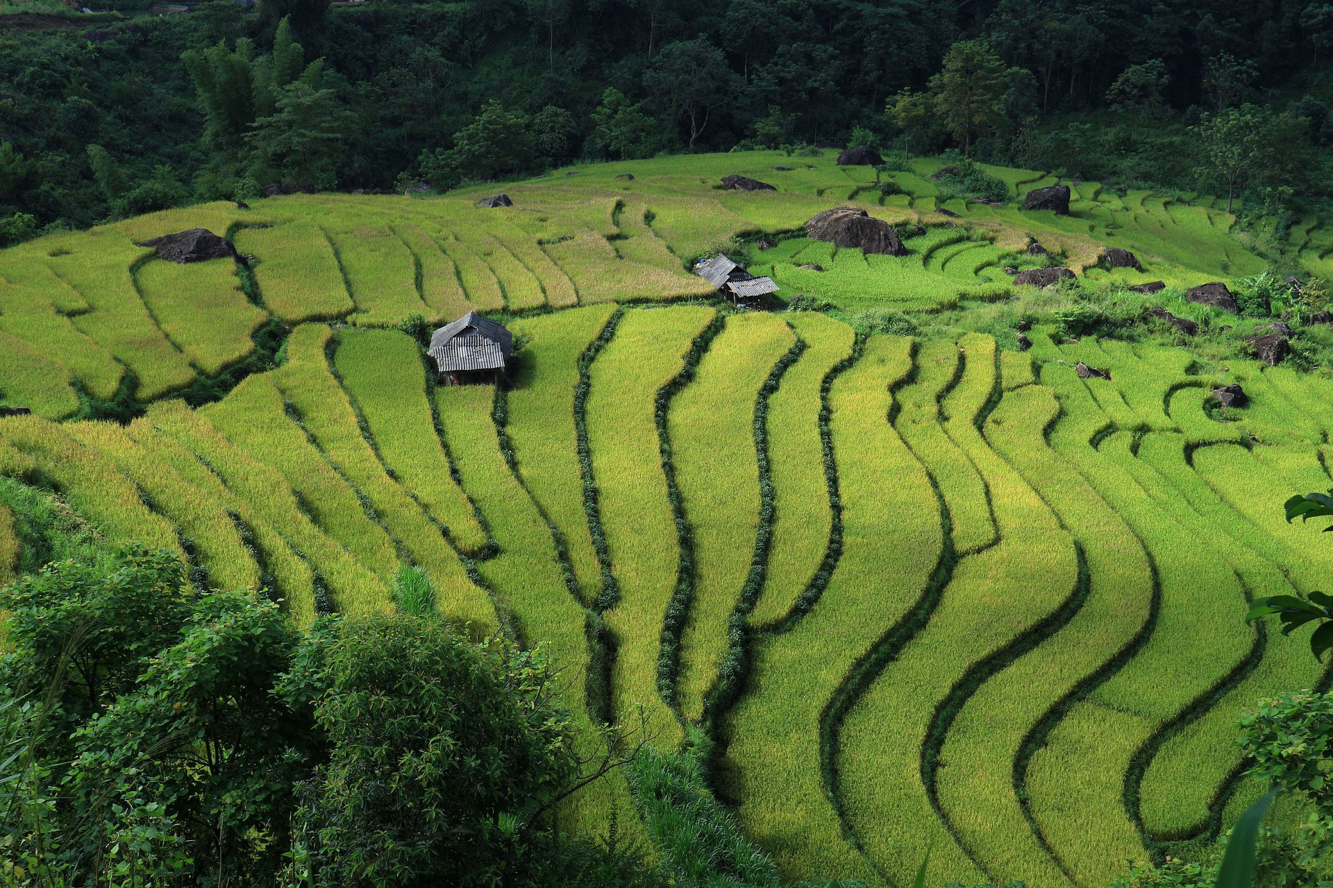 AFFORDABLE VOLUNTEER ABROAD PROGRAMS