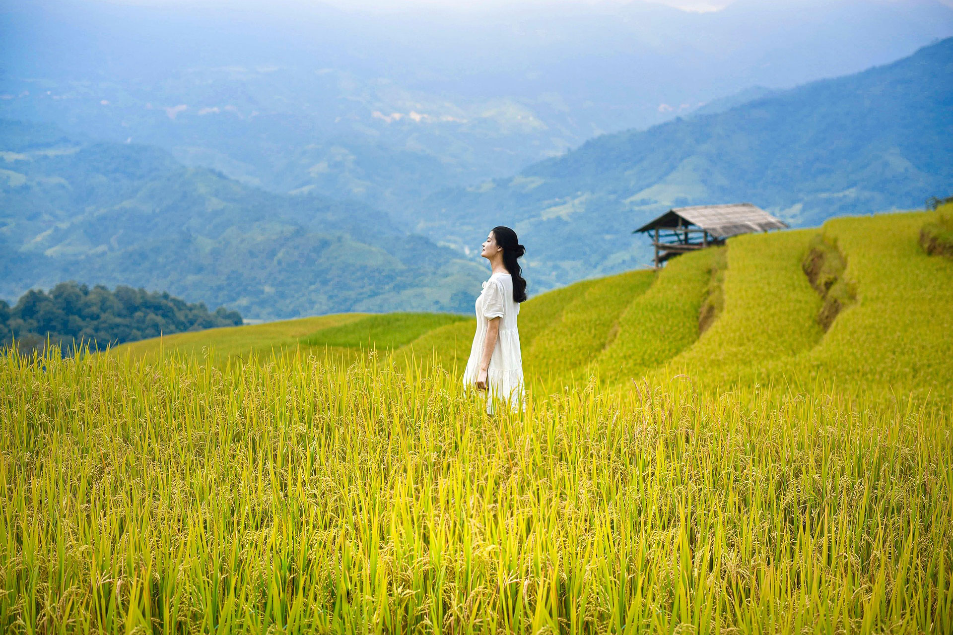 AFFORDABLE VOLUNTEER ABROAD PROGRAMS