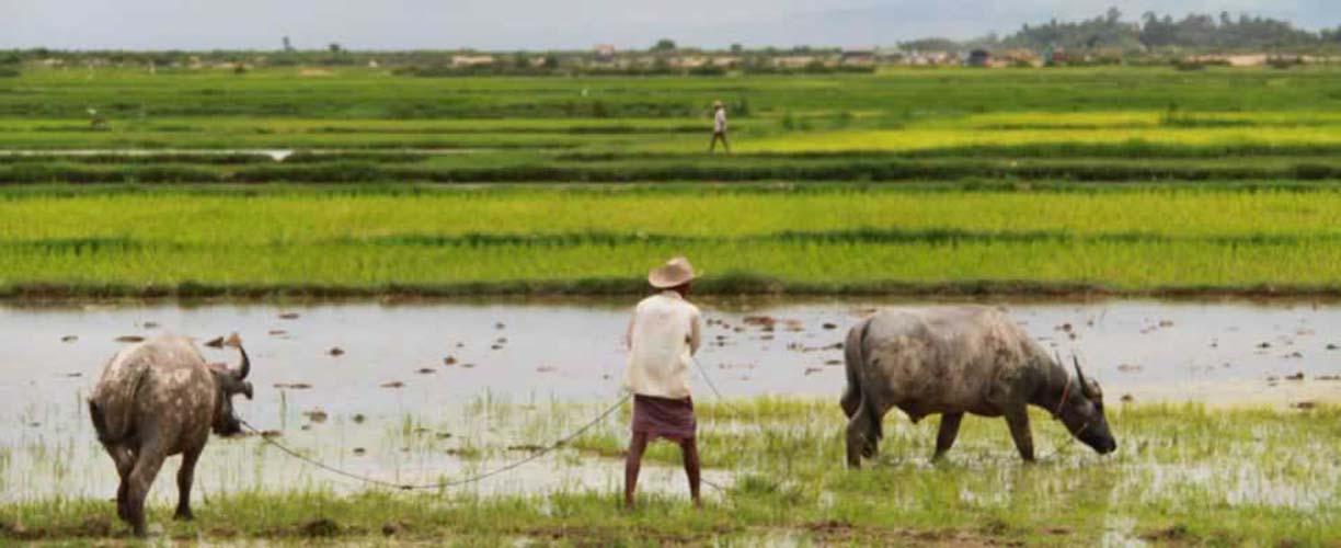 Volunteer Vacations in Cambodia