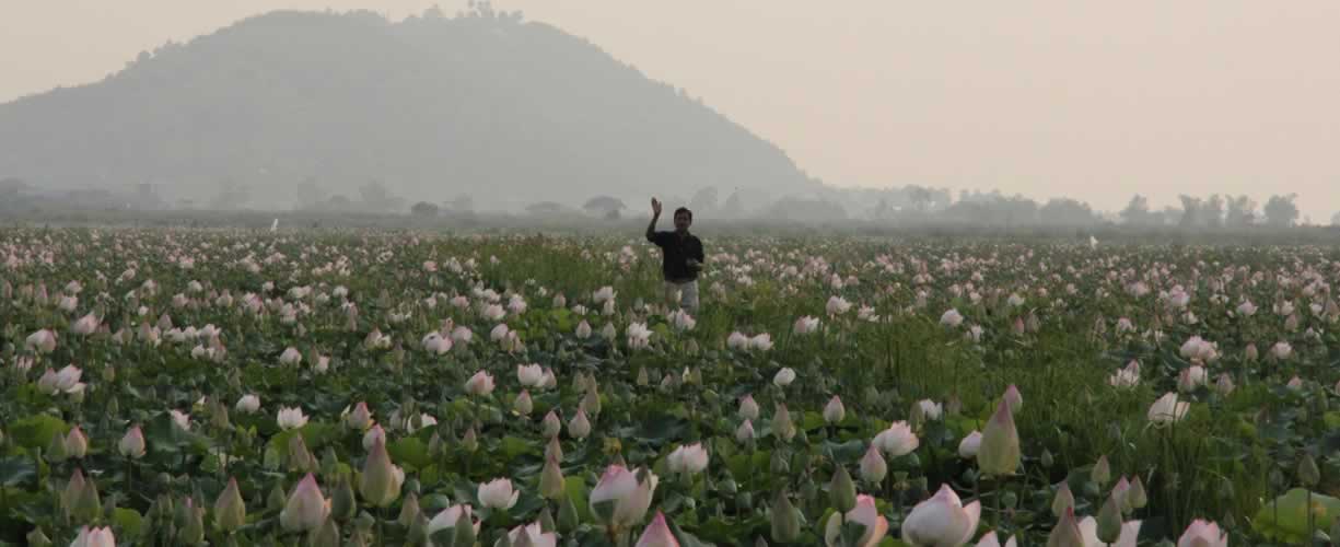 Volunteer Vacations in Cambodia