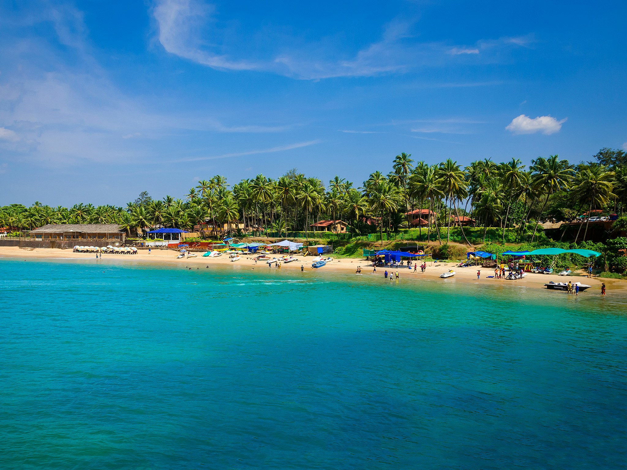 Vibrant and Tropical Goa India
