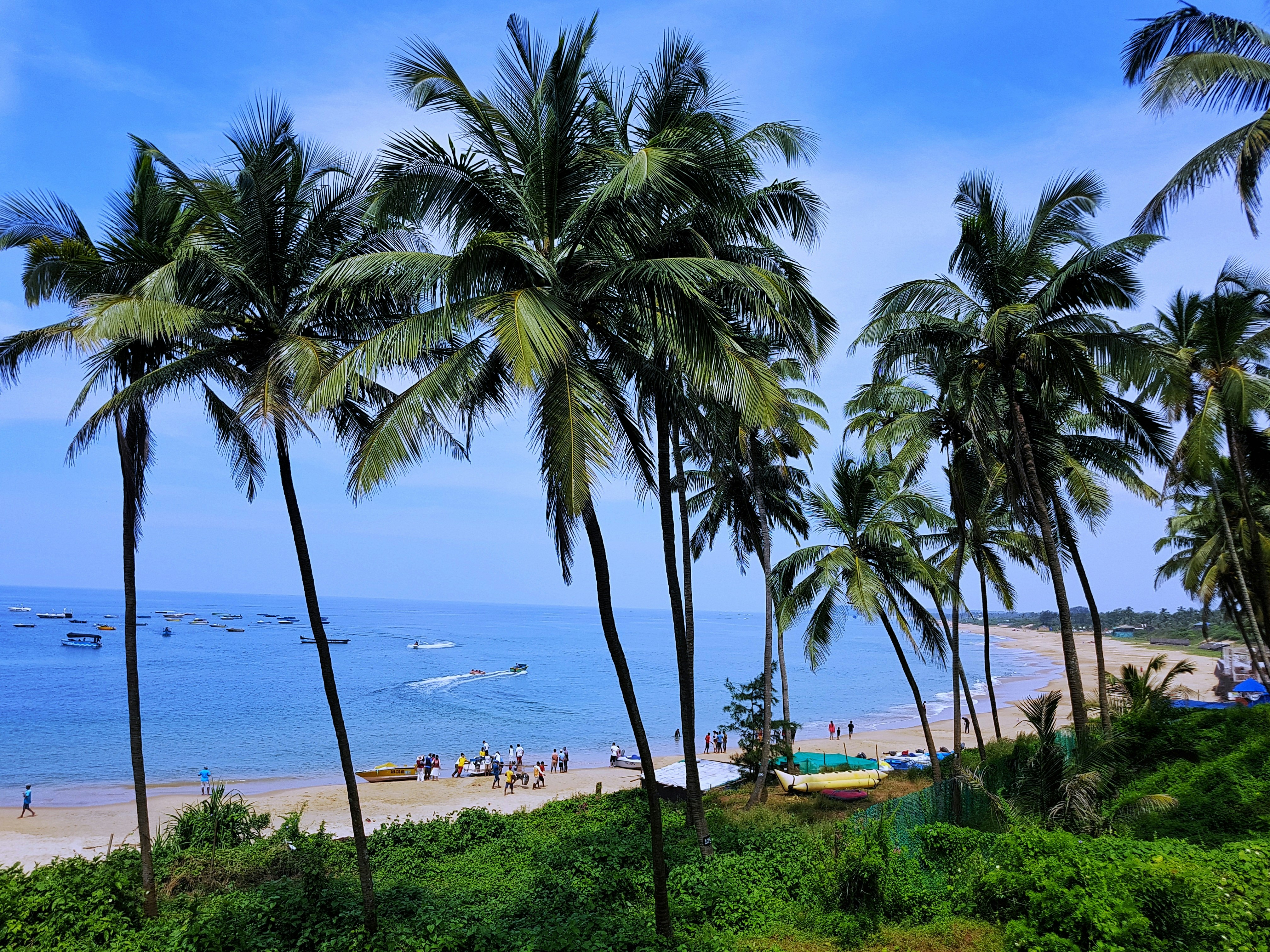 Vibrant and Tropical Goa India
