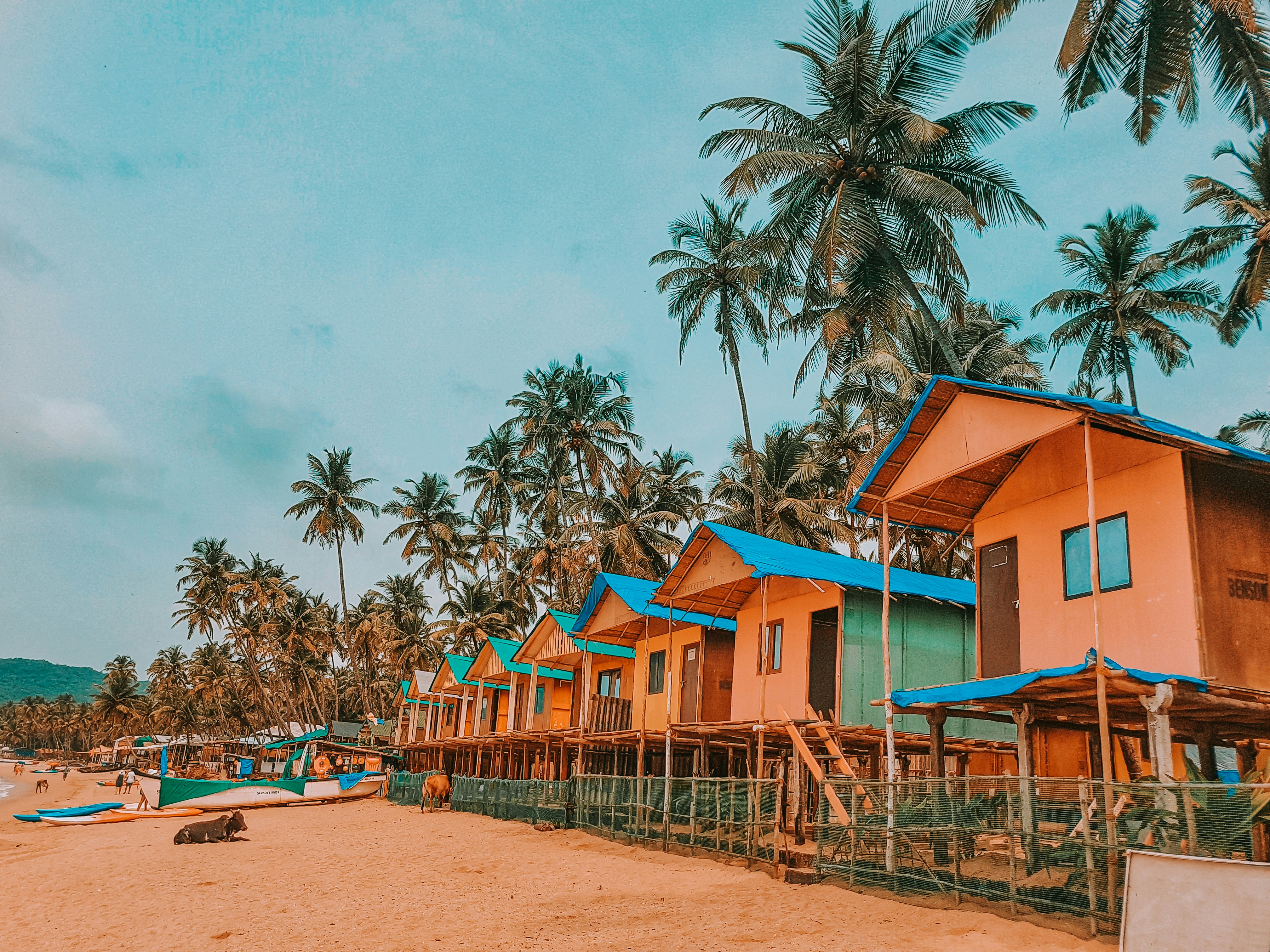 Vibrant and Tropical Goa India