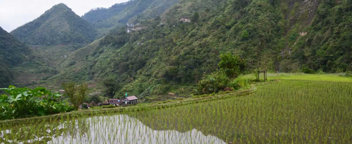 Volunteer Vacations Philippines with Globe Aware