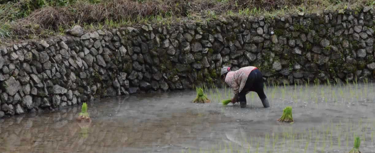 Volunteer Vacations Philippines with Globe Aware