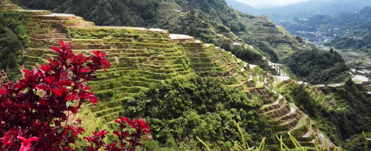 Volunteer Vacations Philippines with Globe Aware