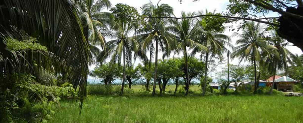 Volunteer Vacations Philippines with Globe Aware