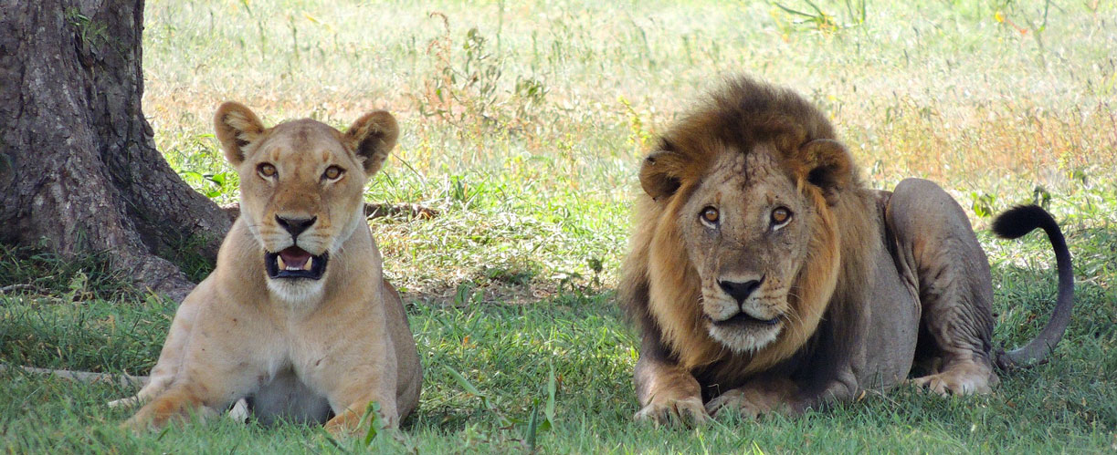 Treasuring Tanzania
