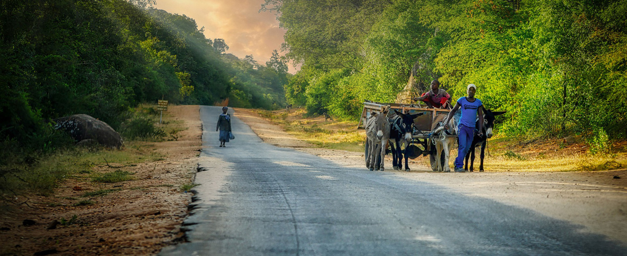 Wonderful Zimbabwe