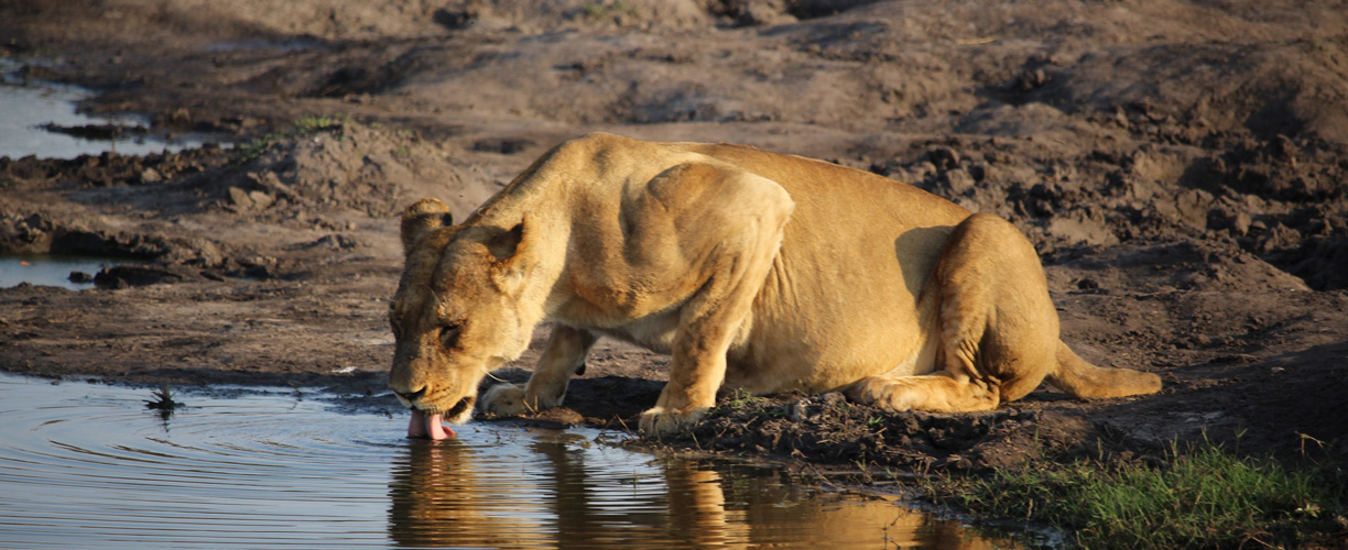 Wonderful Zimbabwe
