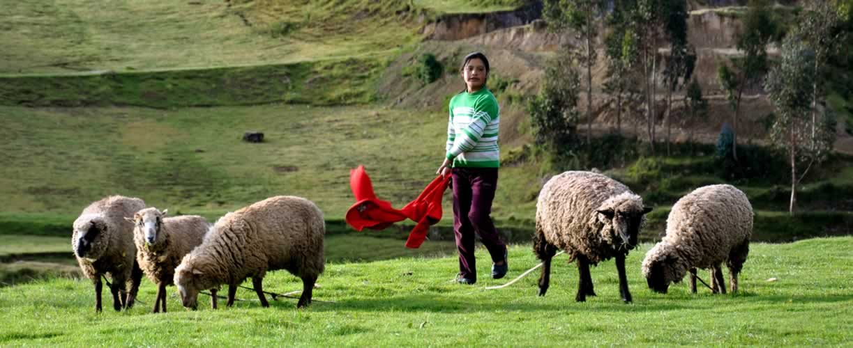 Volunteer Vacations in Peru with Globe Aware