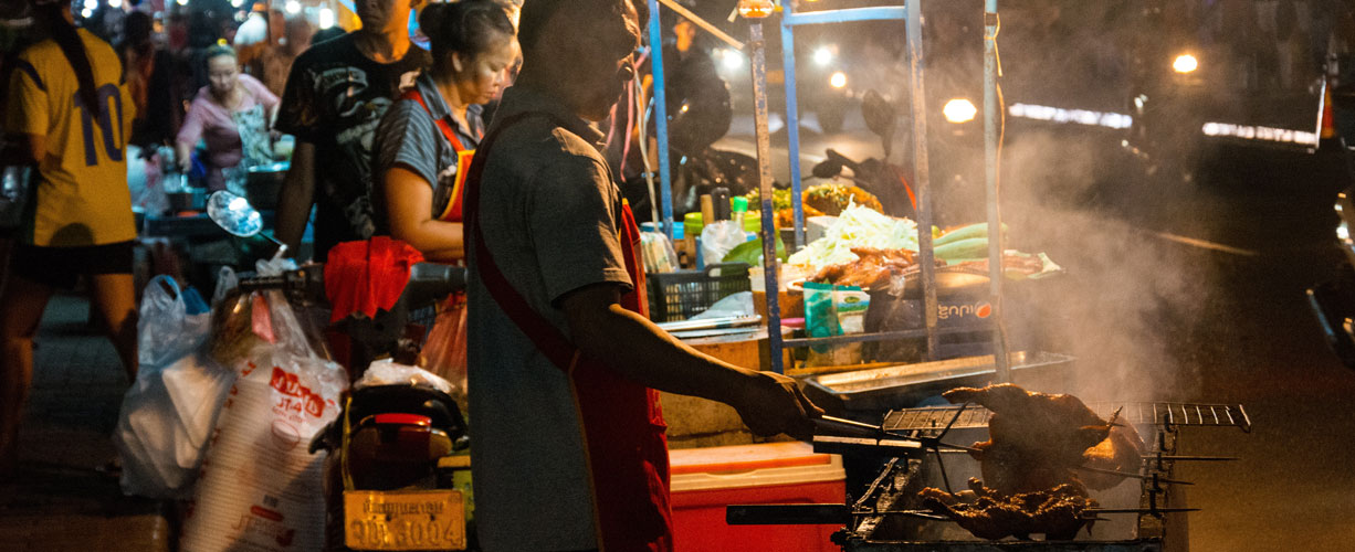 Wildlife Conservation in Laos