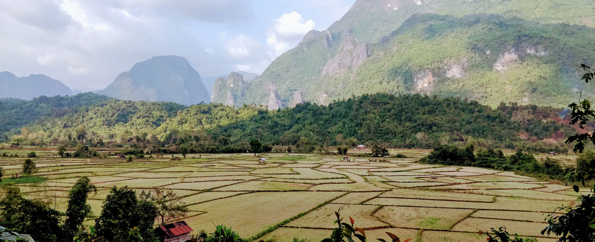 Wildlife Conservation in Laos