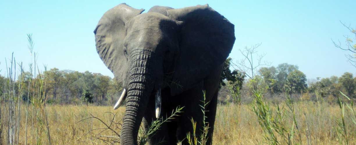 Malawi - Heart Of Africa
